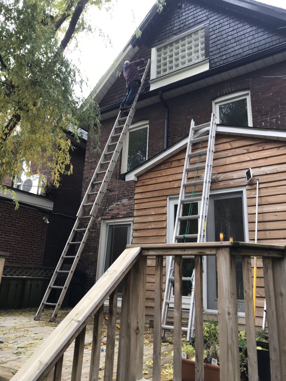 House And Condo Painters | 109 Charlottetown Blvd, Scarborough, ON M1C 2C9, Canada | Phone: (647) 222-7393