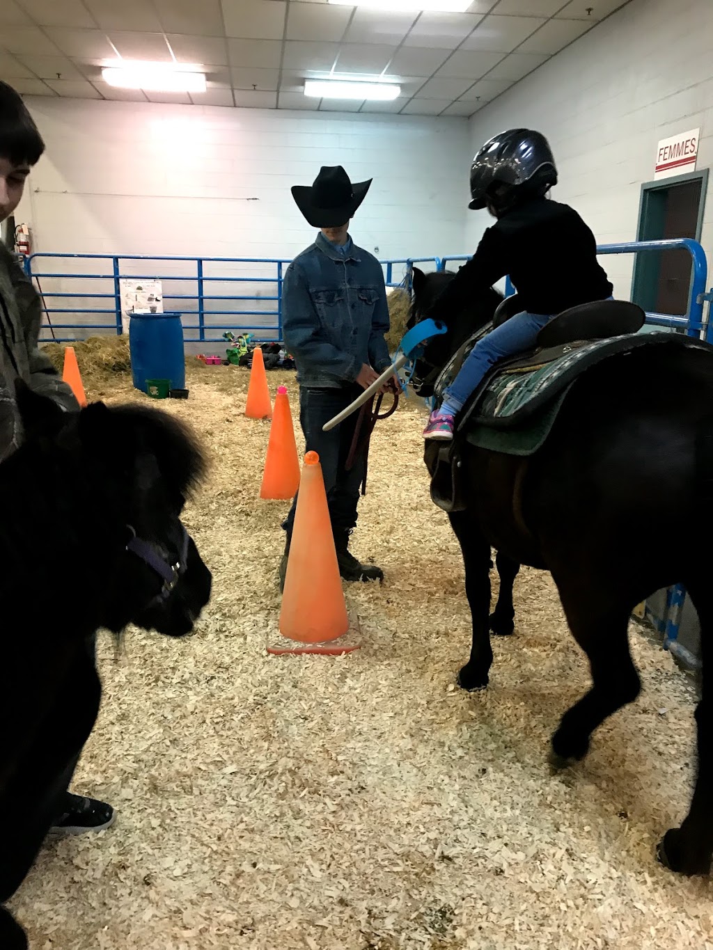 Ranch Des Petits Amis Inc (Le) | 273 Rue Edgar, Sainte-Hélène-de-Bagot, QC J0H 1M0, Canada | Phone: (450) 791-2239
