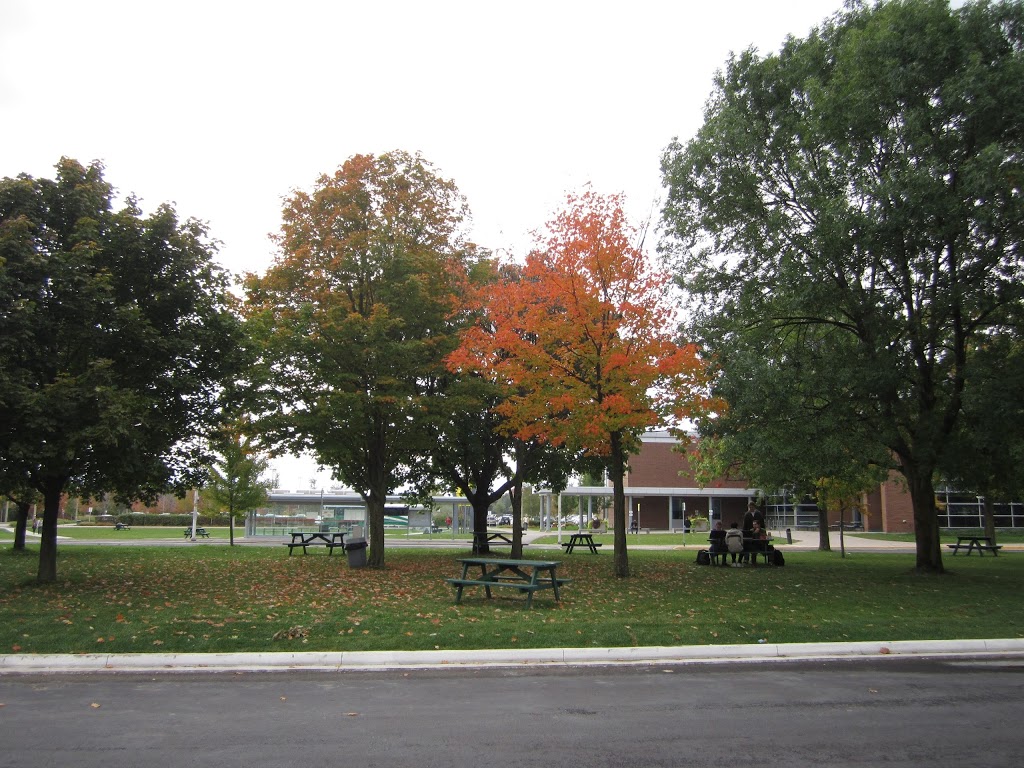 Durham College | 2000 Simcoe St N, Oshawa, ON L1G 0C5, Canada | Phone: (905) 721-2000