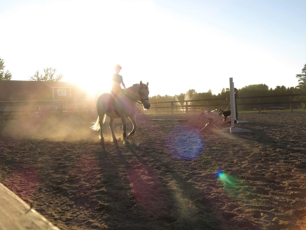 Centre Equestre Mont-Rouge | 6360 Chemin des Sept, Saint-Jean-Baptiste, QC J0L 2B0, Canada | Phone: (450) 467-5418