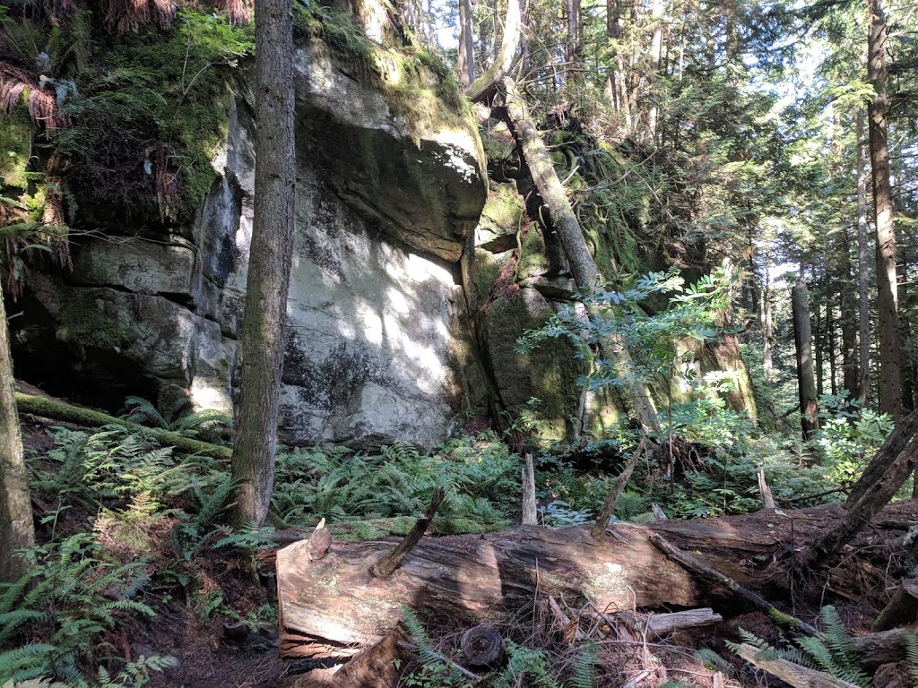 Raptor Ridge Overlook | Raptor Ridge Trail, Bellingham, WA 98229, USA