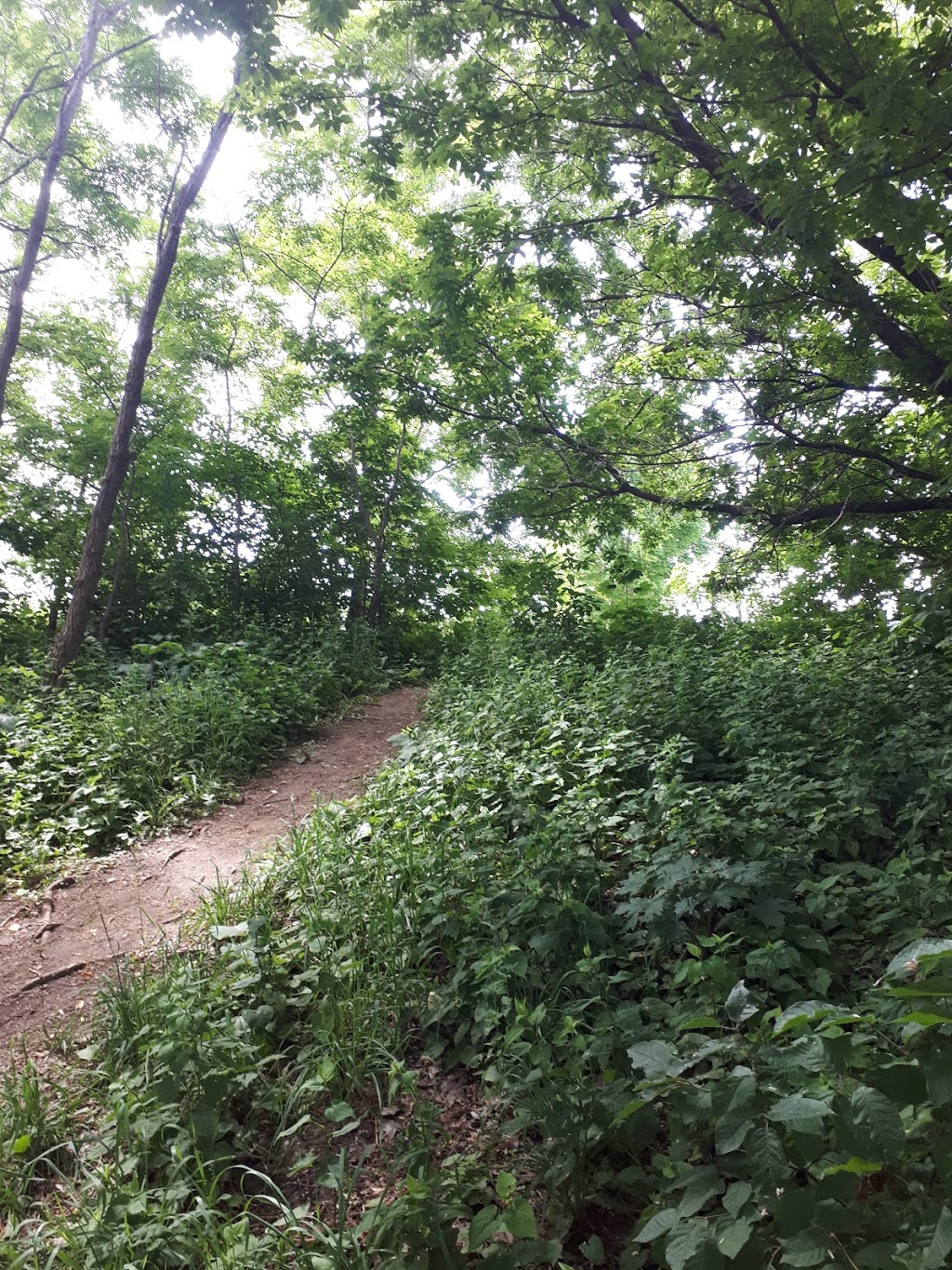 Parc des Goélands | La Prairie, QC J5R 4V1, Canada | Phone: (450) 444-6700