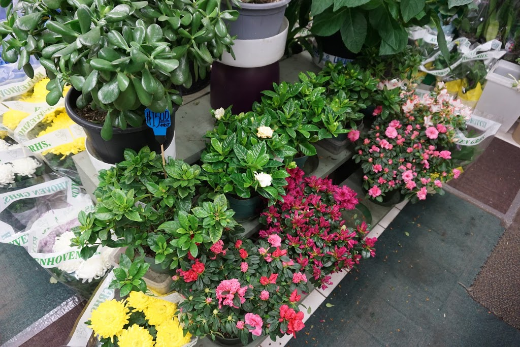 St Clair Flowers | 2781 St Clair Ave E, East York, ON M4B 1N1, Canada | Phone: (647) 348-3389