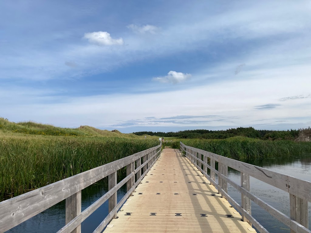 Cavendish Dunelands Trail, Prince Edward Island National Park | 590 Grahams Ln, Cavendish, PE C0A 1Mn, Canada | Phone: (902) 672-6350