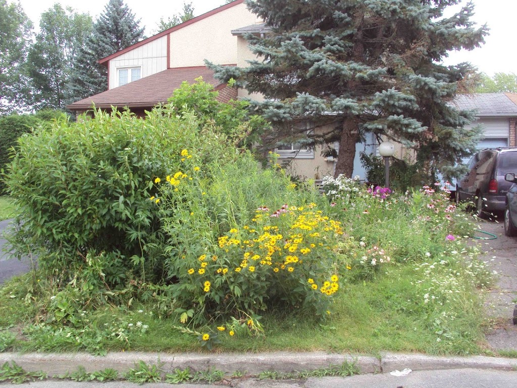 Instant Lawns - Sod Installation Ottawa | 770 Industrial Ave Unit 10, Ottawa, ON K1G 4H3, Canada | Phone: (613) 733-7253