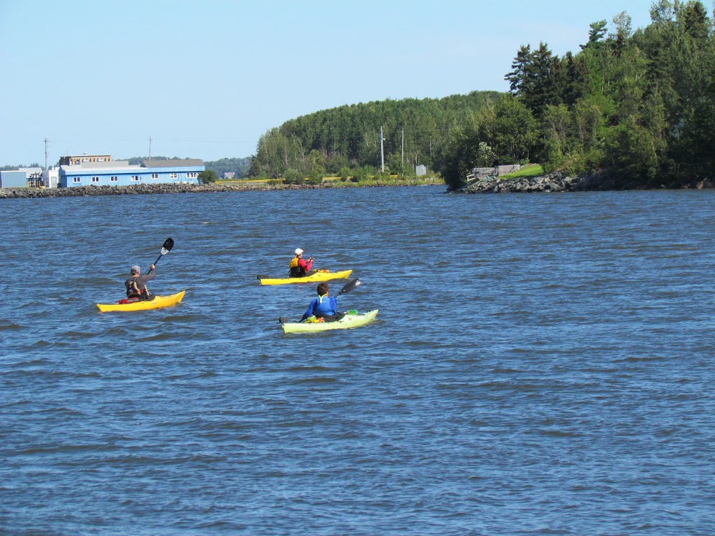 Freedom Canoe & Kayak | 170 Joseph Zatzman Dr, Dartmouth, NS B3B 1M3, Canada | Phone: (902) 266-6025