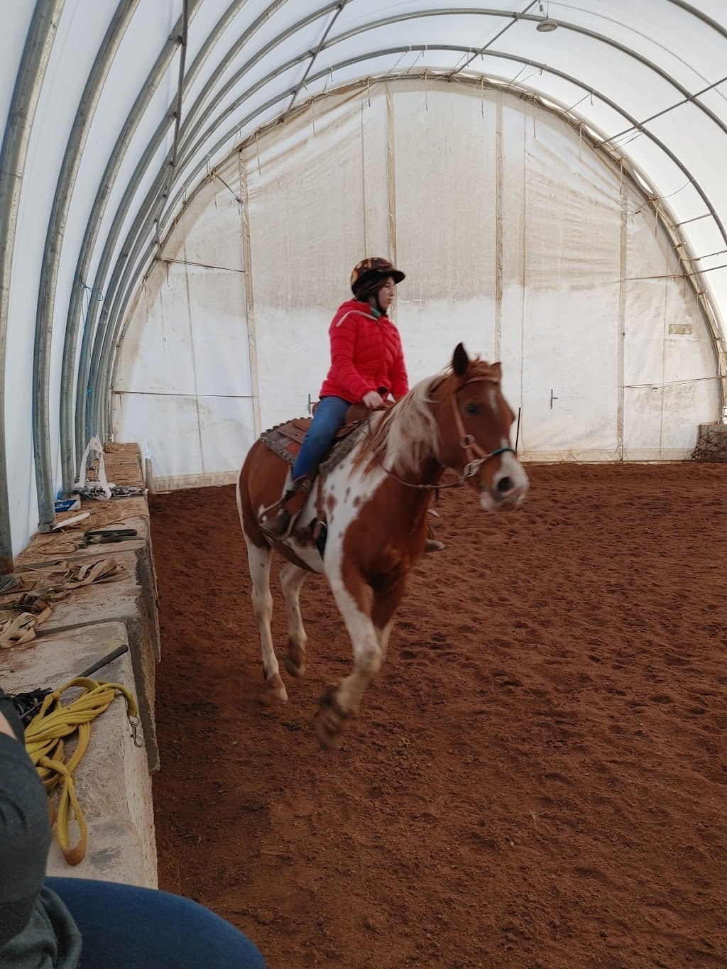 McLeod Brook Stables | 32 Penobsquis Rd, Penobsquis, NB E4G 2B7, Canada | Phone: (506) 567-4477
