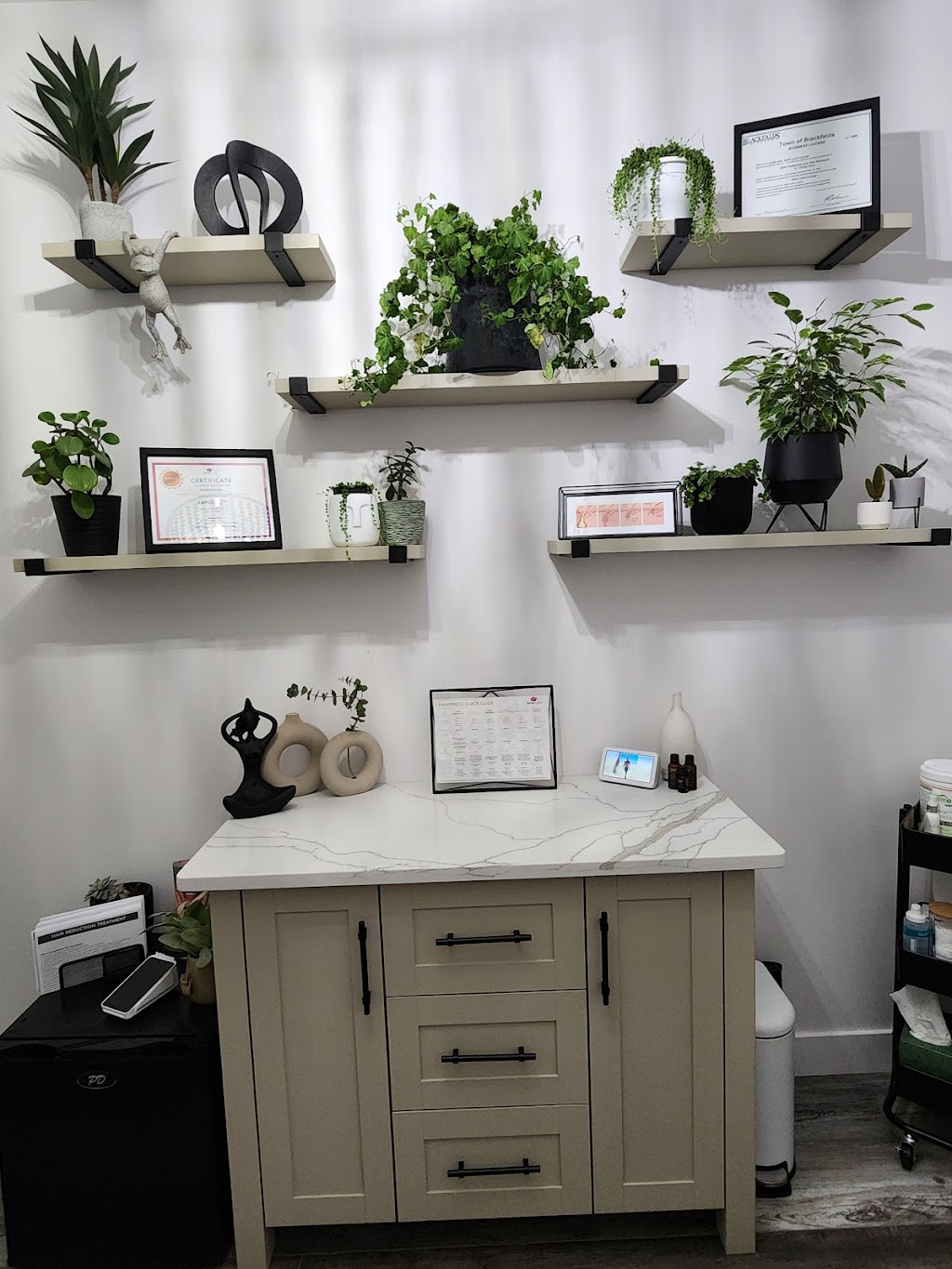Satin Laser Lounge | 53 Vintage Close, Blackfalds, AB T4M 0L6, Canada | Phone: (403) 597-1357