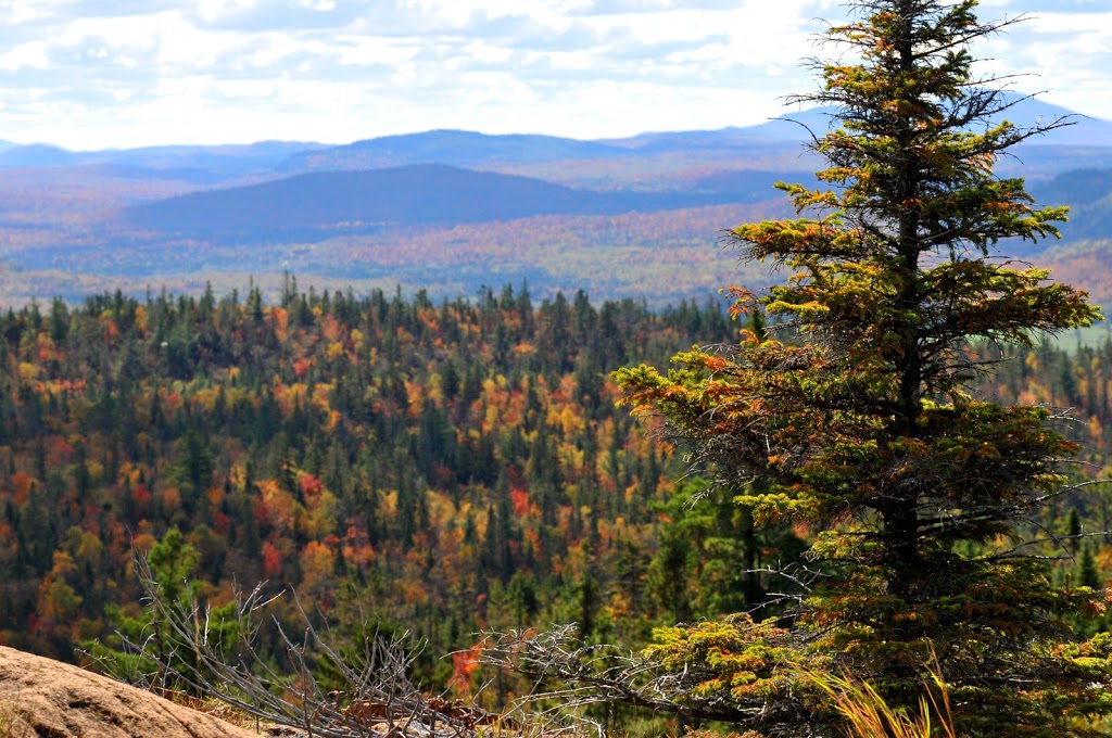 Camping sauvage des 3 Monts | 6 Avenue Saint-Patrick, Saint-Joseph-de-Coleraine, QC G0N 1B0, Canada | Phone: (418) 423-3351