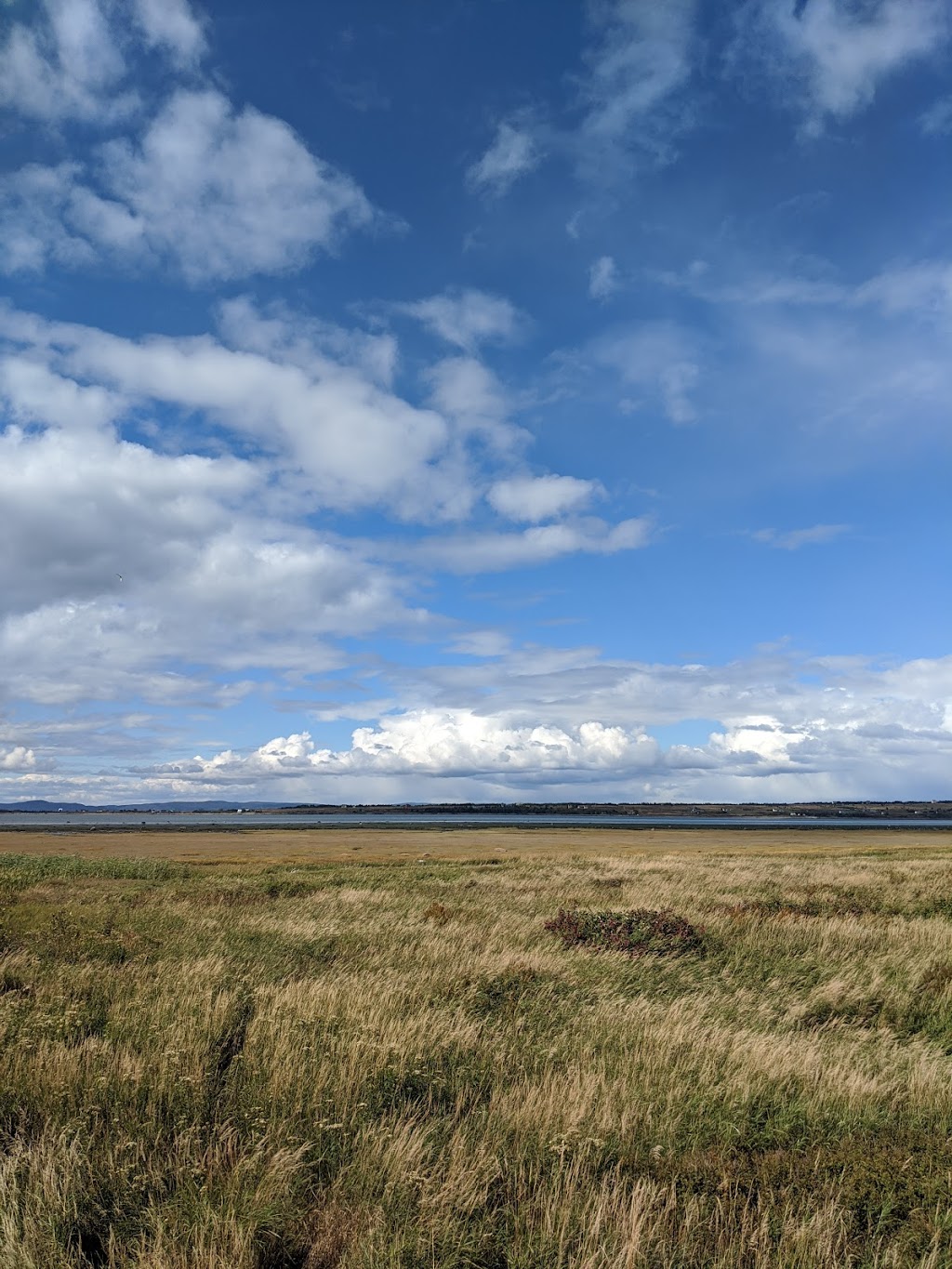 Parc côtier Kiskotuk, secteur des passereaux | 200 Chem. de la Rivière des Vases, Cacouna, QC G0L 1G0, Canada | Phone: (418) 863-3683