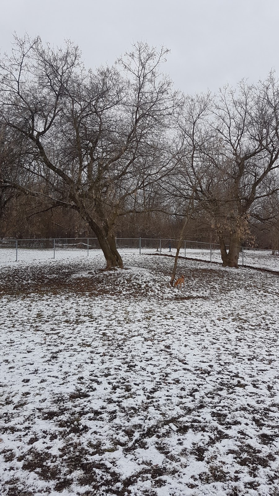 Niagara Falls Dog Park | 2275 Dorchester Rd, Niagara Falls, ON, Canada | Phone: (905) 356-7521 ext. 3330