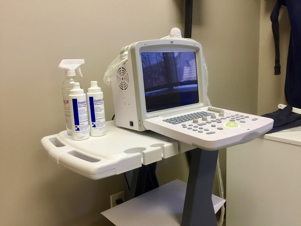 Vet-Champlain Animal Care Inc | 880 Champlain St, Dieppe, NB E1A 1P7, Canada | Phone: (506) 830-6888