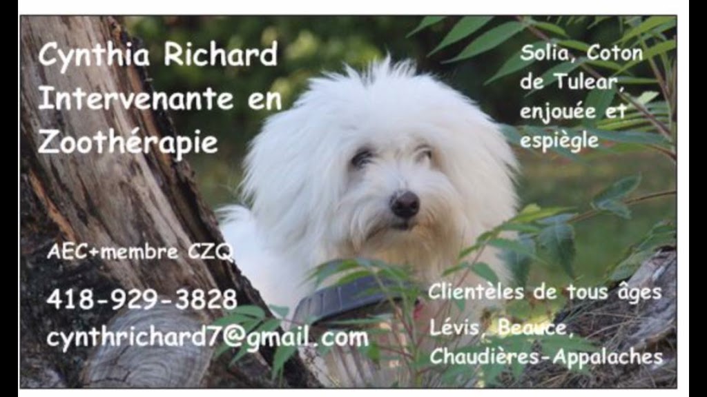 Zoothérapie Solia | 1169 Rue des Érables, Saint-Lambert-de-Lauzon, QC G0S 2W0, Canada | Phone: (418) 929-3828