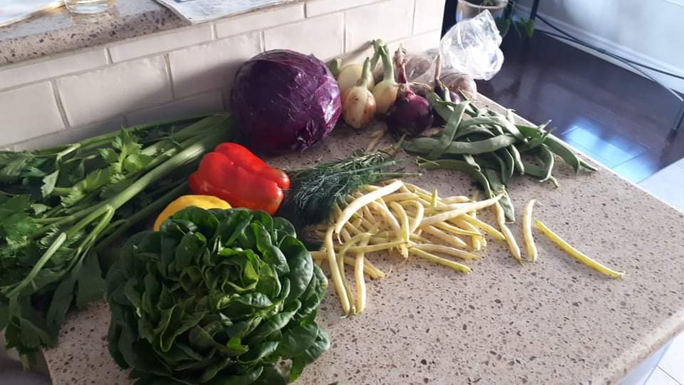 Waratah Downs Organic Farm | 3444 Scotch Line, Perth, ON K7H 3C5, Canada | Phone: (613) 267-7050