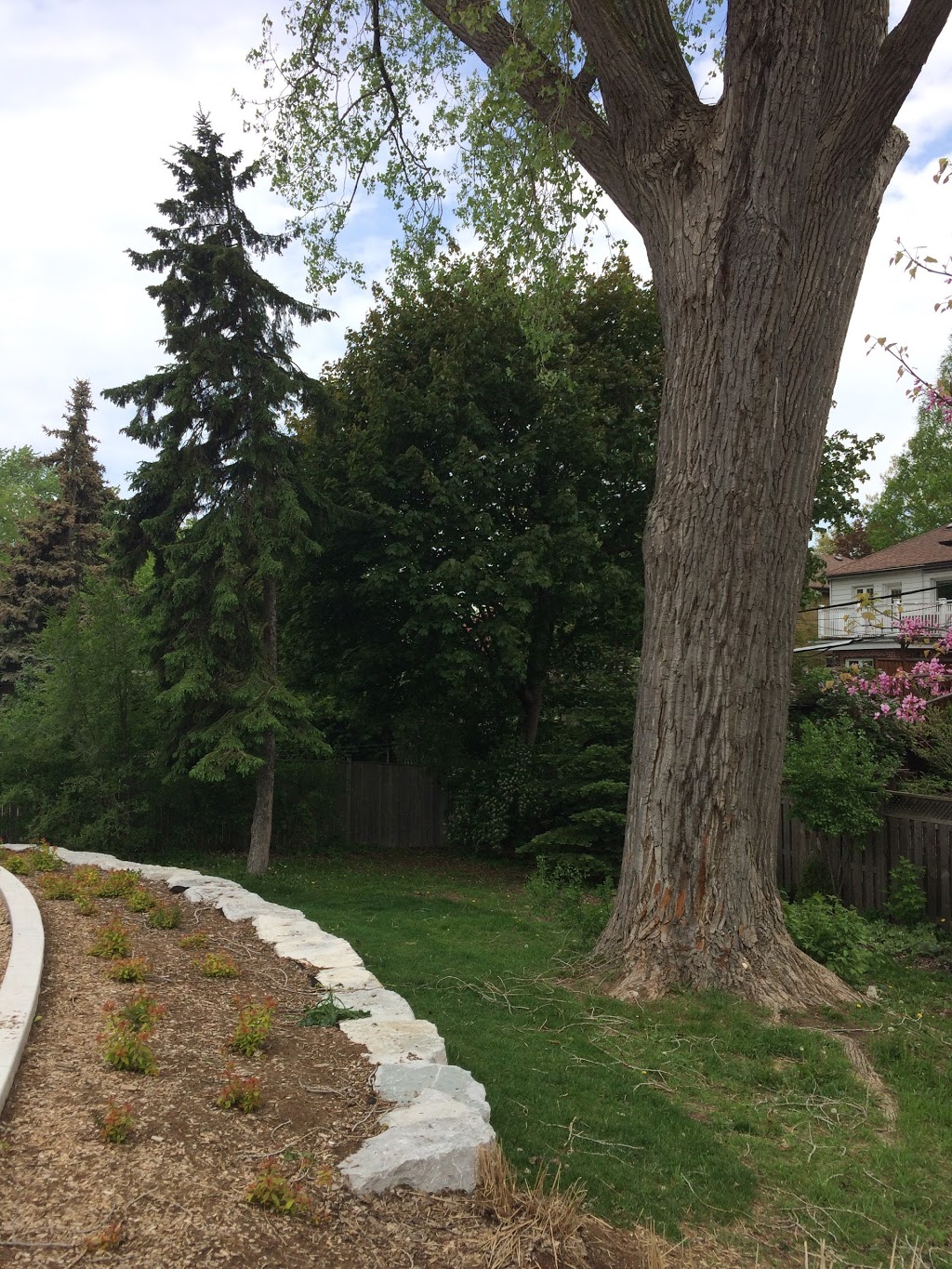 Traymore Park | 22 Traymore Crescent, Toronto, ON M6S 4K5, Canada | Phone: (416) 338-4386