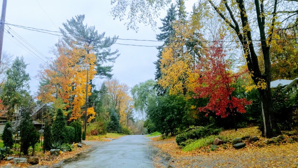 Burnett Park | 352 Burnett Ave, North York, ON M2N 1W4, Canada