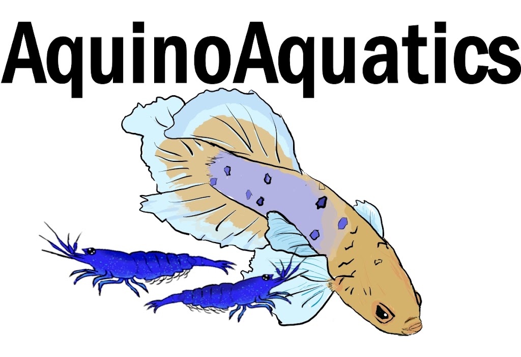 AquinoAquatics | 215 58 St SW, Edmonton, AB T6X 0K9, Canada | Phone: (780) 278-0831