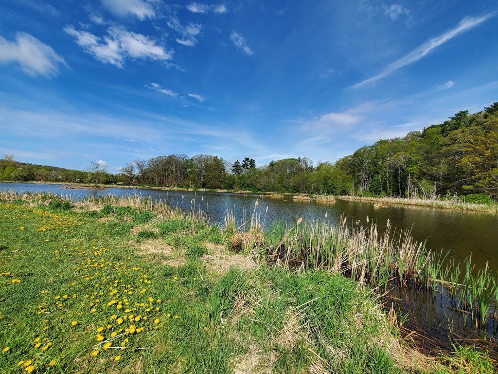 Miners Marsh | Barclay St, Kentville, NS B4N 1H1, Canada | Phone: (902) 679-2500