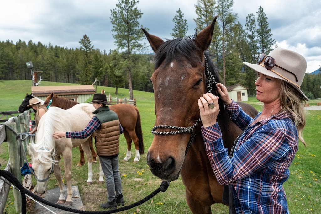 Freedom Equine Association | 4344 Fenwick Rd, Wardner, BC V0B 2J0, Canada | Phone: (250) 430-2233