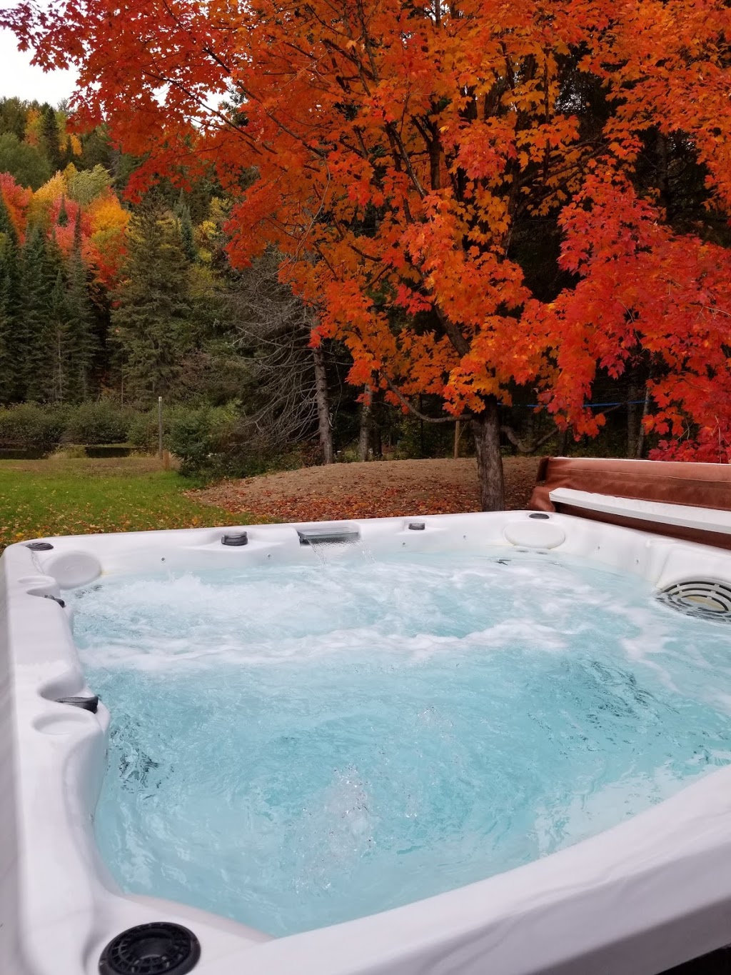 Chalet Le Papillon des Chalets NerBert | 1665 Chemin du Parc, Mandeville, QC J0K 1L0, Canada | Phone: (514) 968-8409