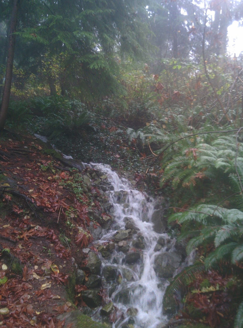 Scenic Park | 5321 Scenic Hwy, Burnaby, BC V5C 1X9, Canada | Phone: (604) 294-7450