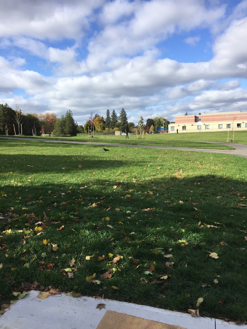 Rogers Public School | 256 Rogers Rd, Newmarket, ON L3Y 1G6, Canada | Phone: (905) 895-5441