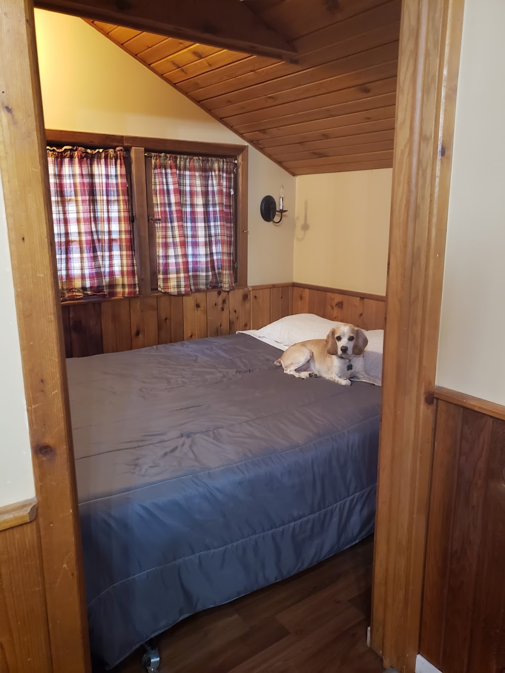 Rundle Chalet | 1100 Harvie Heights Rd, Harvie Heights, AB T1W 2W2, Canada | Phone: (403) 456-7686