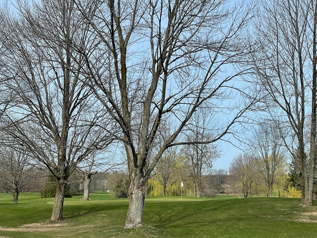 Scenic City Golf Course | 203674 ON-26, Owen Sound, ON N4K 5W4, Canada | Phone: (519) 376-4649