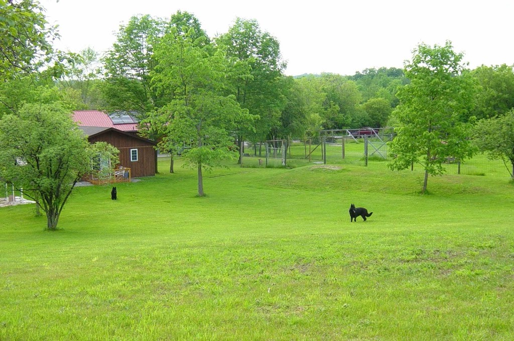 Liftlock Bed and Breakfast | 810 Canal Rd, Peterborough, ON K9L 1A1, Canada | Phone: (705) 742-0110