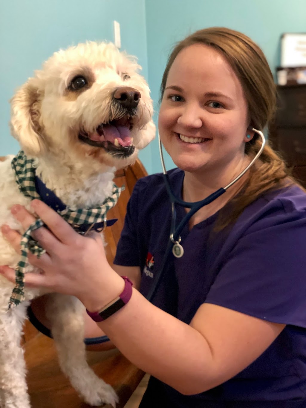 Queen Street Veterinary Services | 1004 Queen St, Kincardine, ON N2Z 1E3, Canada | Phone: (519) 396-3647