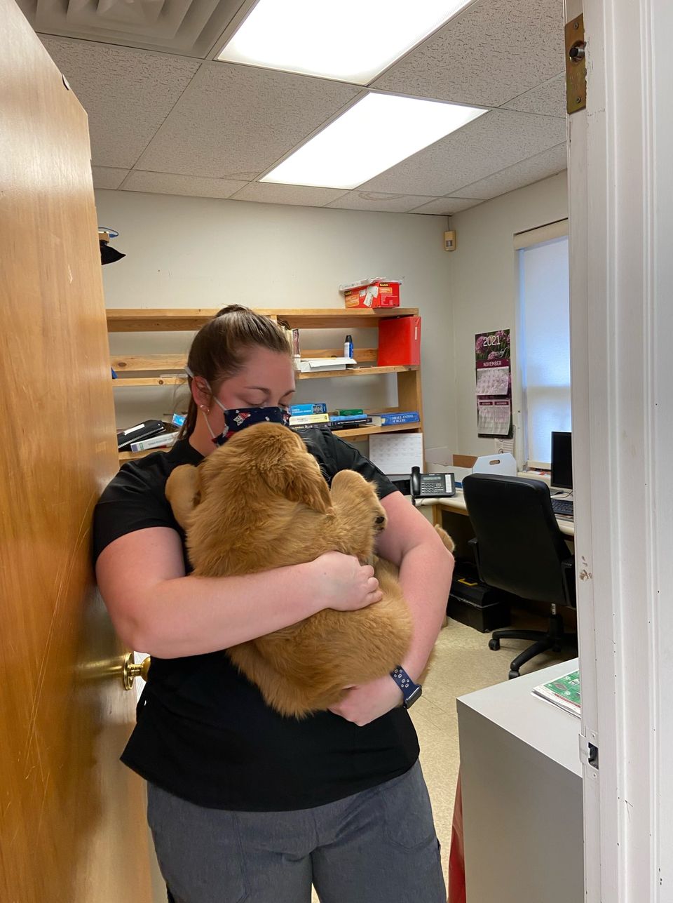 Kingston Veterinary Clinic | 435 Division St, Kingston, ON K7K 4A8, Canada | Phone: (613) 542-7337