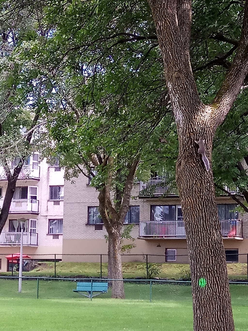 Parc Beaulac | 1145 Rue Elizabeth, Saint-Laurent, QC H4L, Canada