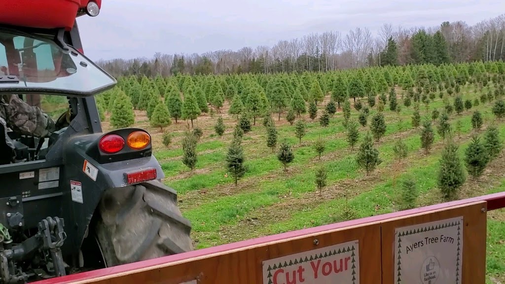 Ayers Tree Farm | 3065 10 Line N, Hawkestone, ON L0L 1T0, Canada | Phone: (705) 323-6035
