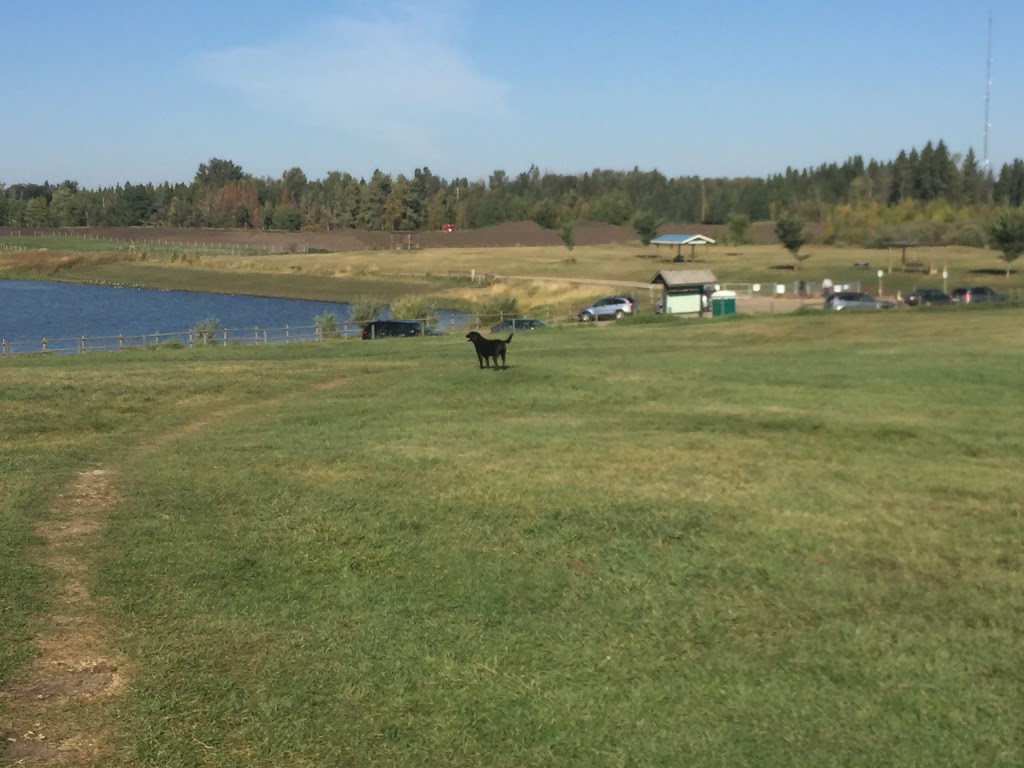 Umbach Off-leash Dog Park | 969 Boulder Blvd, Stony Plain, AB T7Z 2Y2, Canada