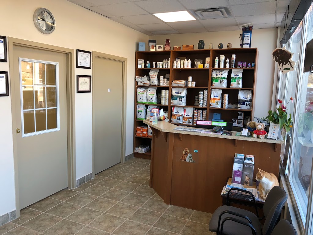 East Side Animal Hospital I affordable Vet in Toronto | veterinary care | 3095 Kingston Rd, Scarborough, ON M1M 1P1, Canada | 4162648387 OR +1 416-264-8387