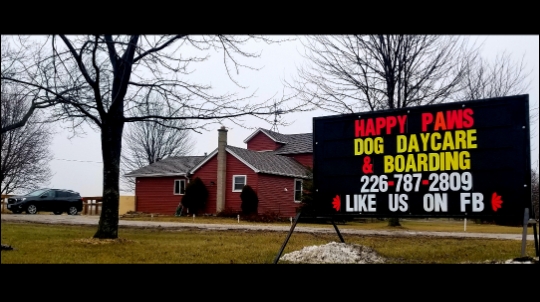 Happy Paws Dog Daycare & Boarding | 2190 County Rd. 20 W, Harrow, ON N0R 1G0, Canada | Phone: (226) 787-2809
