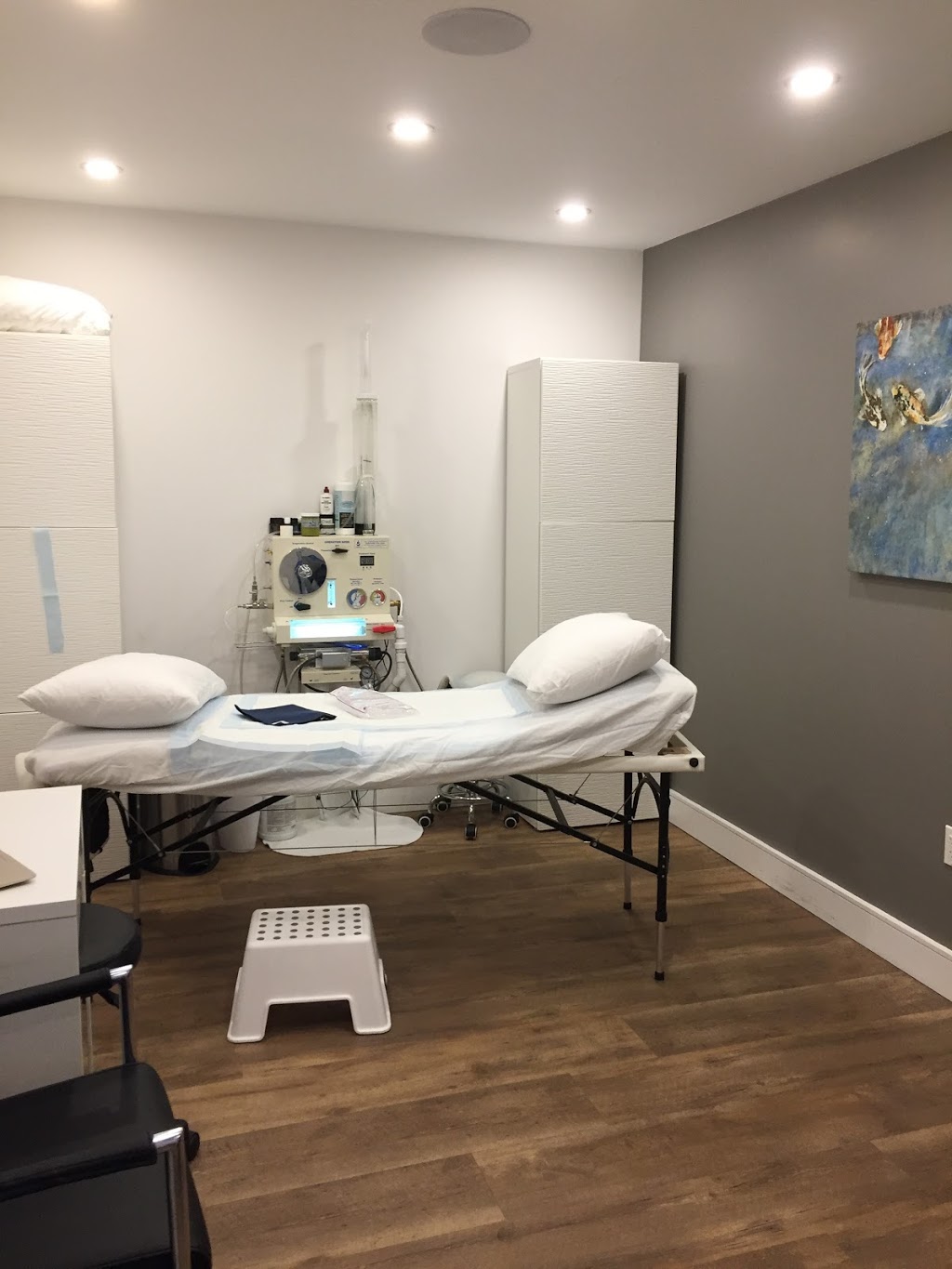 Diana Loze, Colon Hydrotherapist | pureBalance Wellness - Cancer Care, 219 Lakeshore Road East, Mississauga, ON L5G 1G5, Canada | Phone: (905) 891-3865
