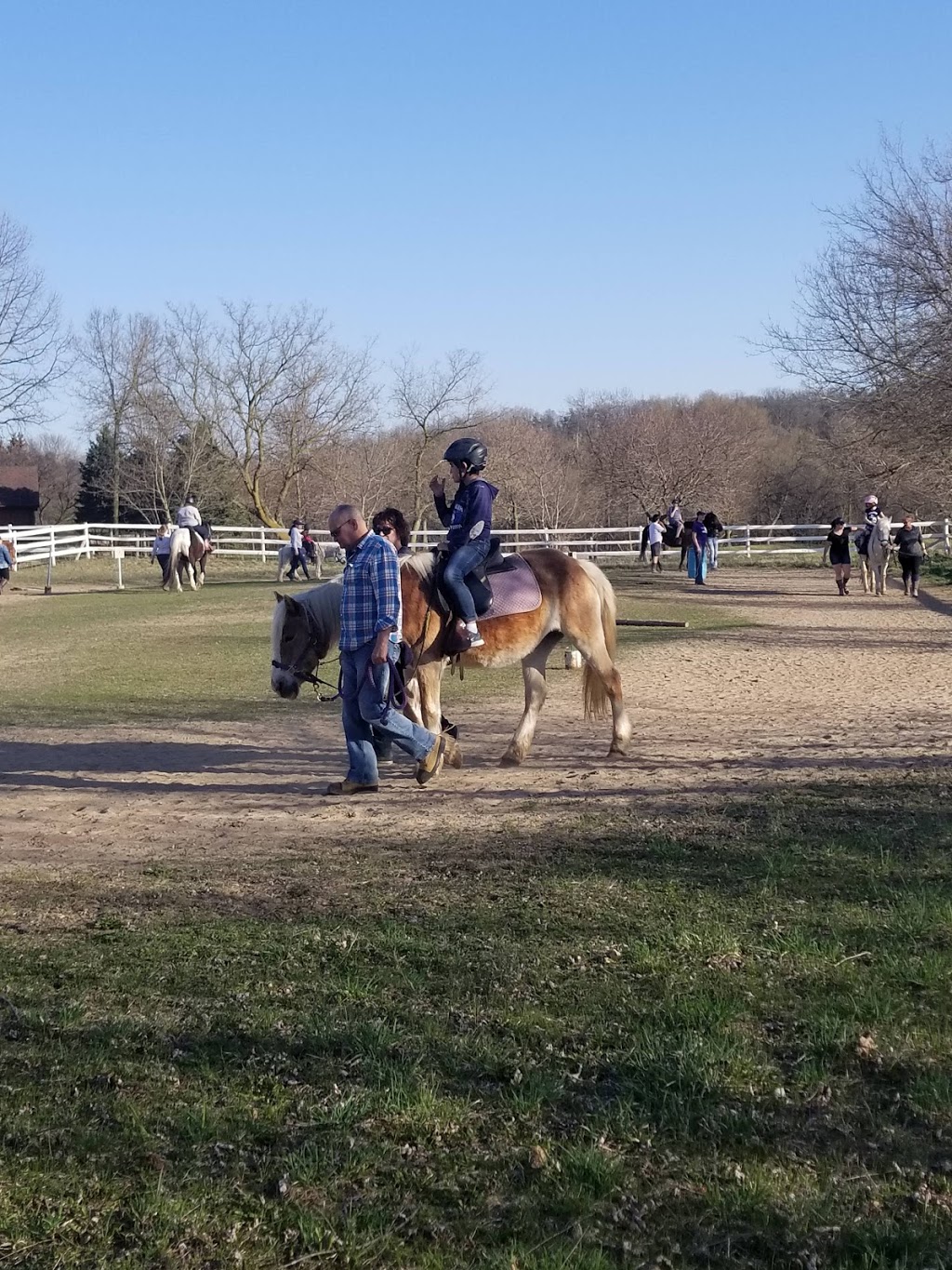 Central Ontario Developmental Riding Program | 584 Pioneer Tower Rd, Kitchener, ON N2P 2W7, Canada | Phone: (519) 653-4686