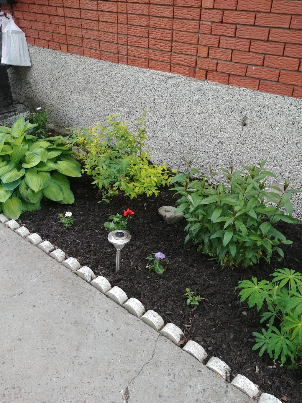 Entretien Paysagement TJL | #311, Cowansville, QC J2K 2N4, Canada | Phone: (450) 558-4649