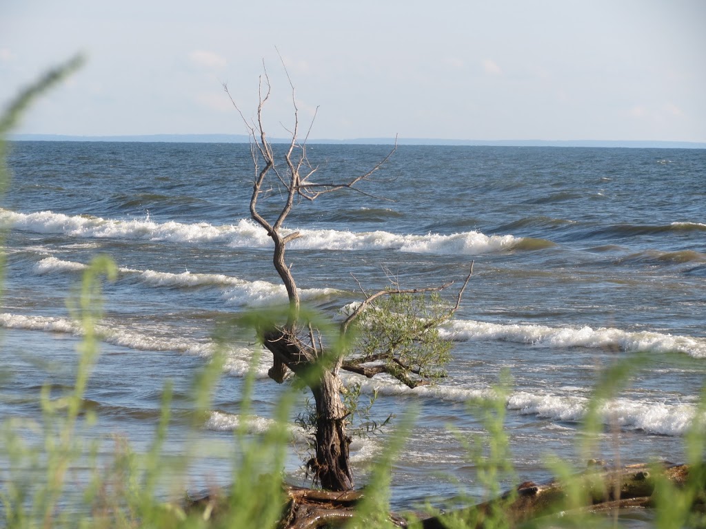 Southwick Beach State Park | 8119 Southwicks Pl, Henderson, NY 13650, USA | Phone: (315) 846-5338