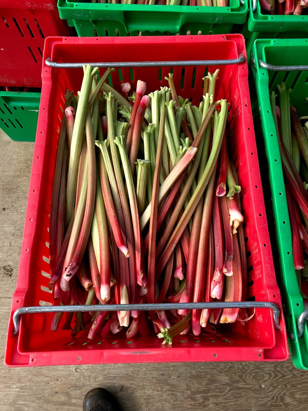 Berryhill Farm | 7657 Egremont Rd, Watford, ON N0M 2S0, Canada | Phone: (519) 849-6573