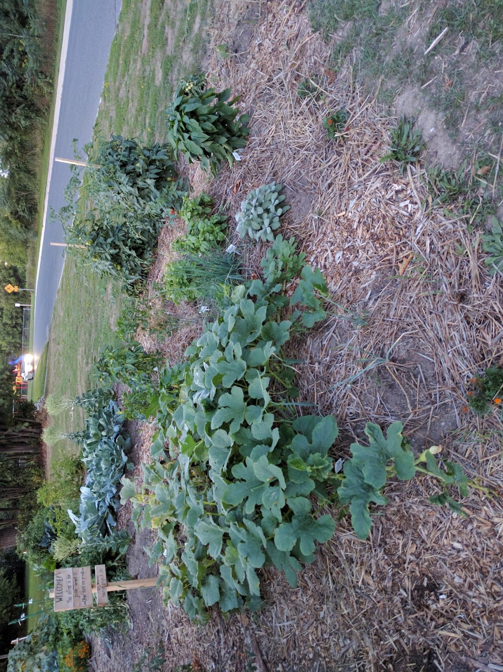 Whitefield Community Garden | 1087 Whitefield Dr, Peterborough, ON K9J 7P4, Canada | Phone: (778) 381-8337