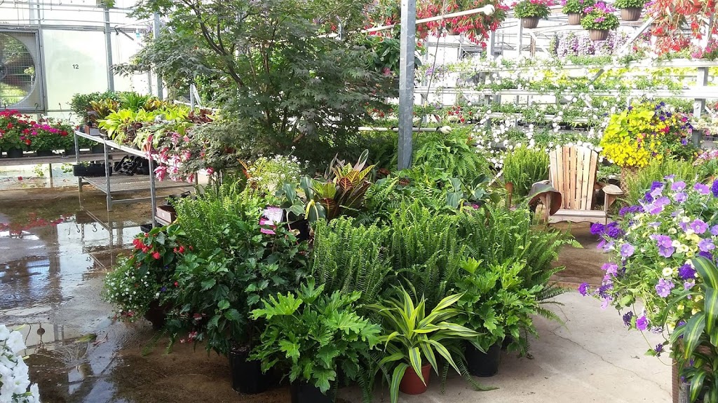 Riverside Greenhouses | 727266 Sideroad 22C, Heathcote, ON N0H 1N0, Canada | Phone: (519) 599-3533