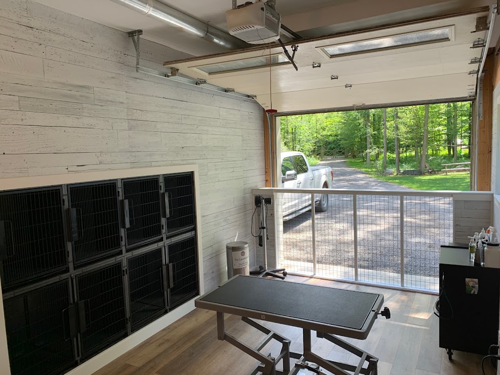 The Laundromutt | 4943 10 Line, Terra Cotta, ON L0P 1N0, Canada | Phone: (905) 580-9065