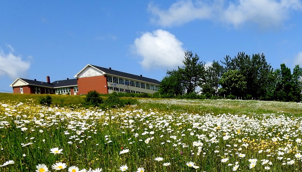Ecole Ste-Apolline | 105 de lEglise, Sainte-Apolline-de-Patton, QC G0R 2P0, Canada | Phone: (418) 469-2804
