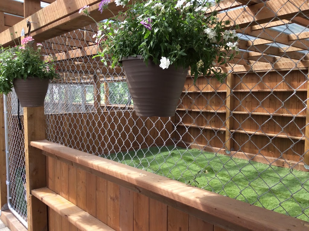 Barala Kennels | 5079E Rd 64 N, Rosser, MB R3K 2H9, Canada | Phone: (204) 633-2629