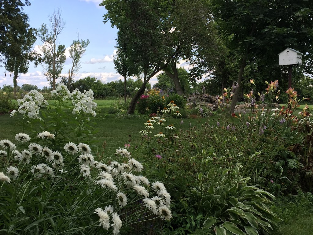 A Day in the Country | 11105 Side Rd 18, Seagrave, ON L0C 1G0, Canada | Phone: (416) 807-7377