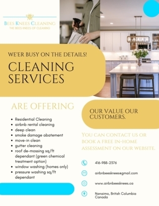 Bees Knees Cleaning | point of interest | 3400 Departure Bay Rd, Nanaimo, BC V9T 1B8, Canada | 2506196346 OR +1 250-619-6346