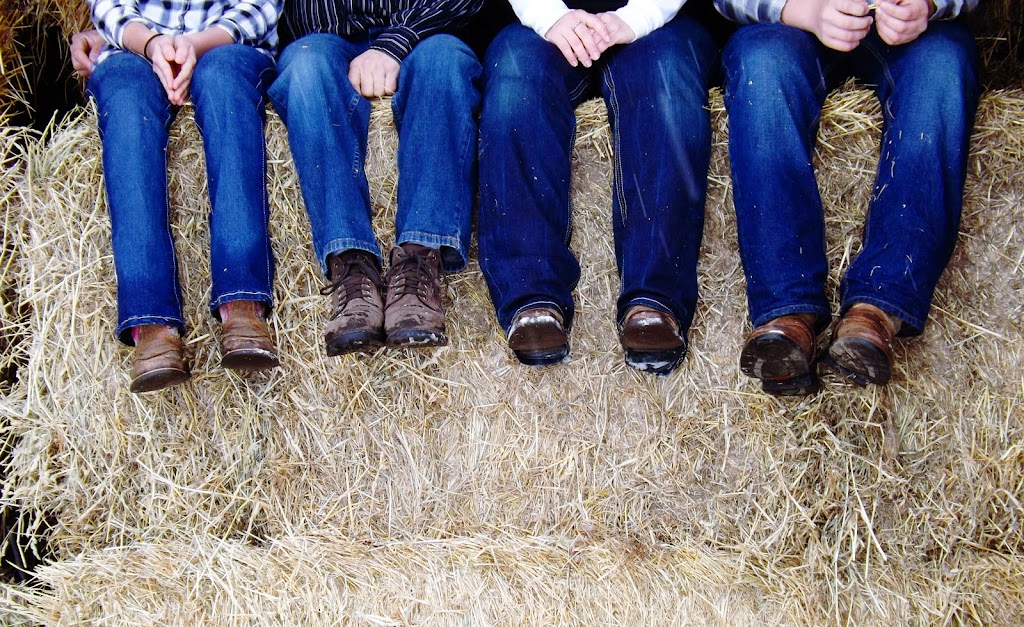 Pam Kelly Photography | 103 Ottawa Ave, South River, ON P0A 1X0, Canada | Phone: (705) 471-9014
