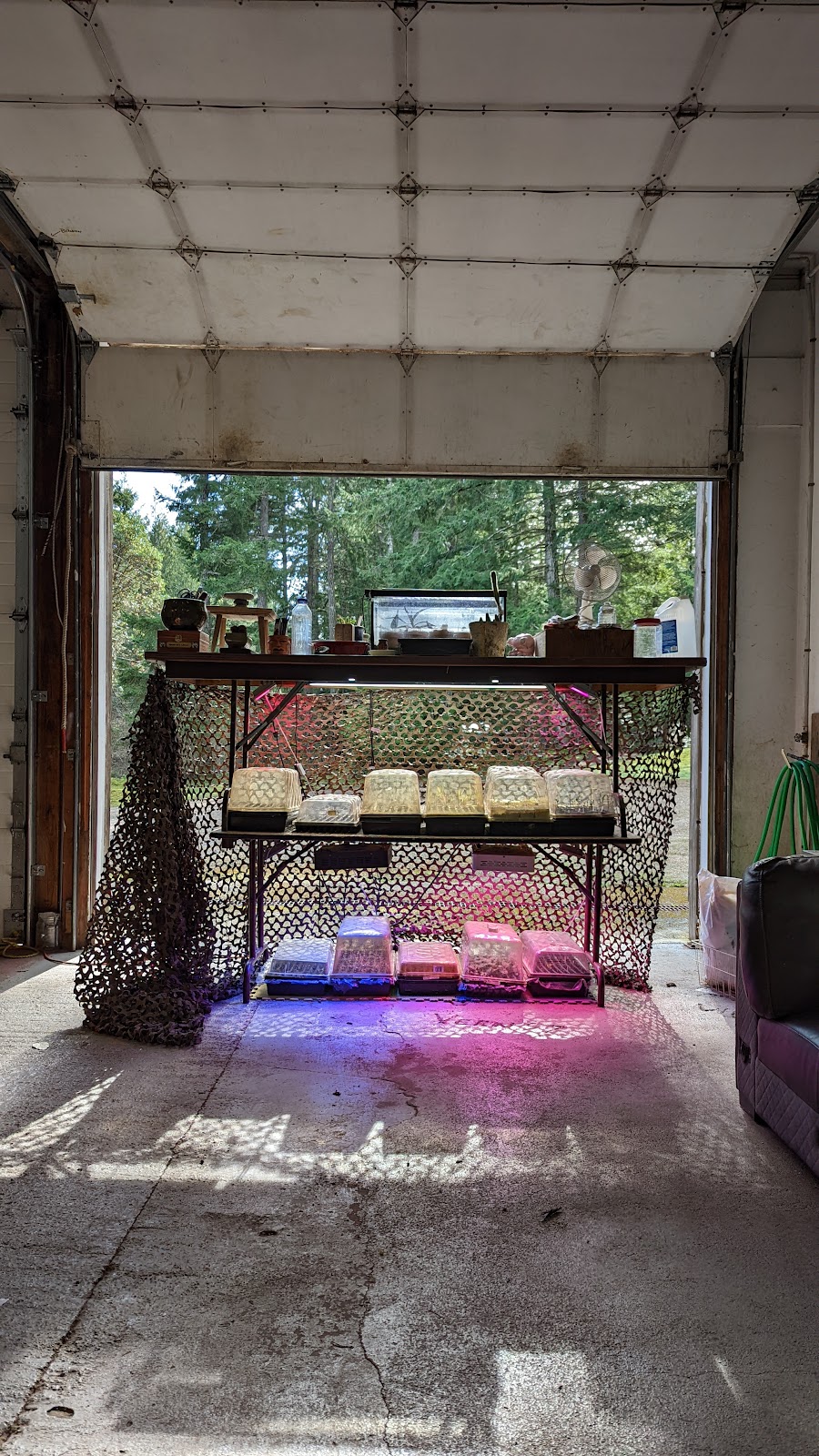 The Hornby Spark | 3850 Central Rd, Hornby Island, BC V0R 1Z0, Canada | Phone: (250) 335-2221